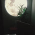 Moon Earth Projector Night Light Sunset Projection